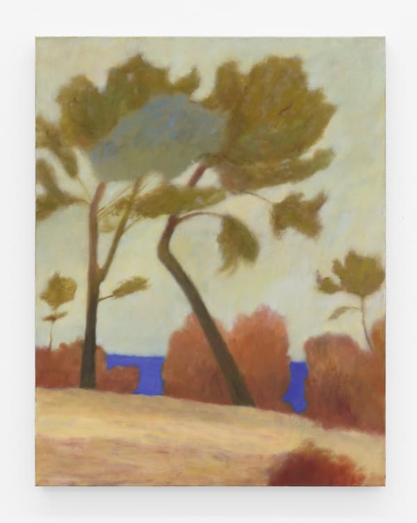 Sammi Lynch The Tree's Call Out, 2024 oil on linen 36 1/4 x 28 x 1 1/2 in. 92 x 71 x 4 cm.