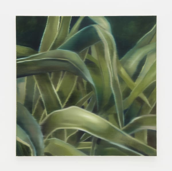 Johanna Bath Untamed, 2023 oil on canvas 31 1/2 x 31 1/2 in. (80 x 80 cm.)