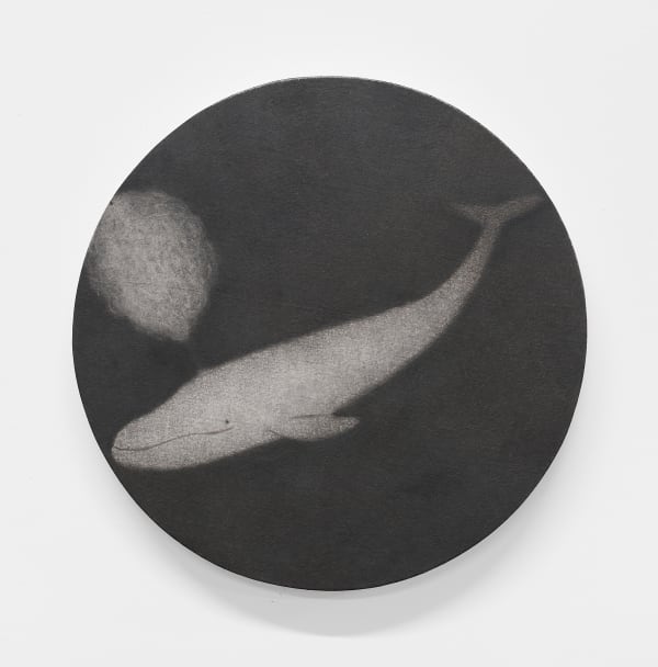 Ko Jiyoung (고지영) 2023 oil on canvas 14 x 14 in. (35 x 35 cm.)
