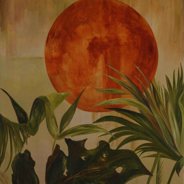 CAN Art Fair 2025 Presenting Stacie McCormick, Ana Monso and Júlia Martins Miranda