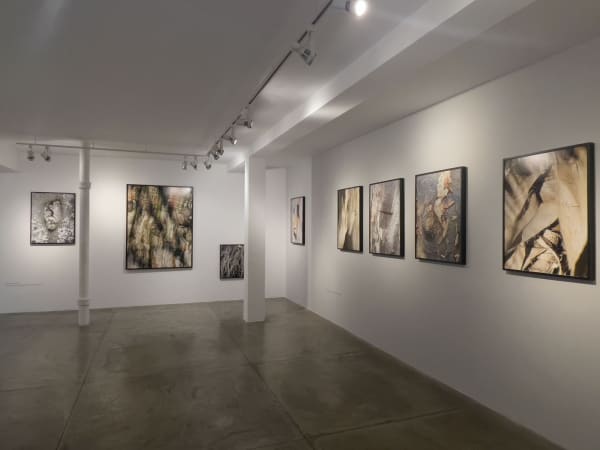 Micropaisaje y Pareidolia Elizabeth Schummer