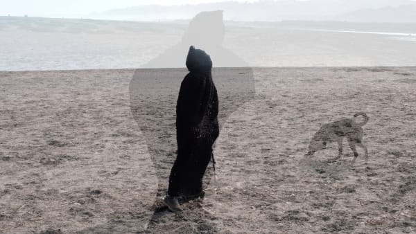 Amalia Caputo Disappearance IIe (Cocoon) 2019 Archival Pigment Print Edi. 6 + 2 P/A Tamaño pequeño 8 x 14 pulgadas (20 x 35 cm) Tamaño grande 20 x 35 pulgadas (50 x 89 cm)