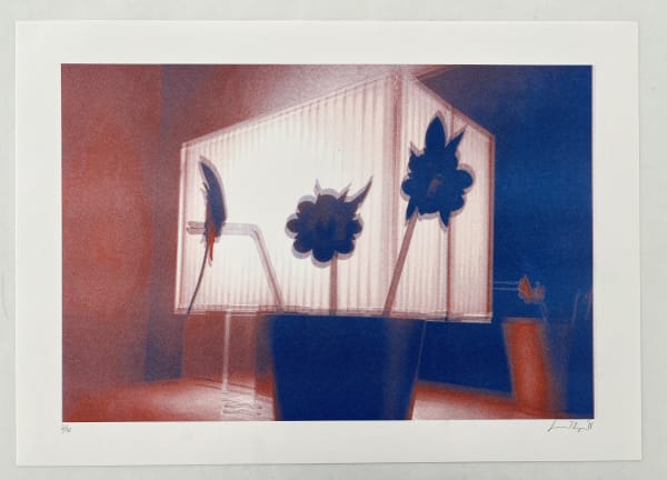 Simon Thompson, Still Live (3)