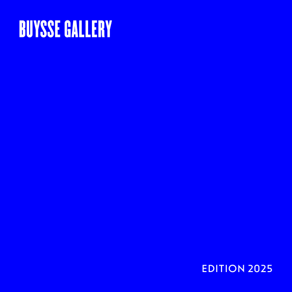 Annual Overview, 2025. © Buysse Gallery. All rights reserved.