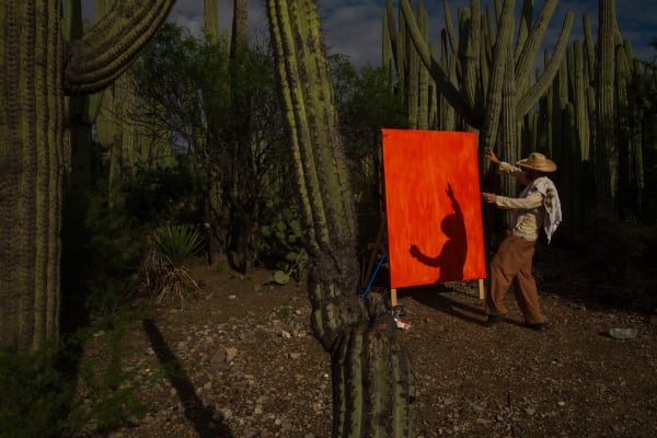 Nils Verkaeren: Borrowed Landscape at Museum of the City, Querétaro, 2025