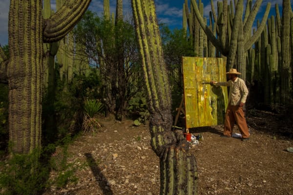 Nils Verkaeren: Borrowed Landscape at Museum of the City, Querétaro, 2025