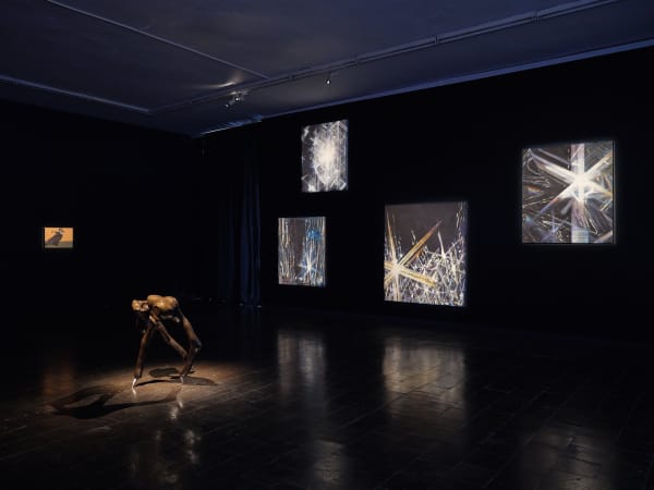 Kunsthale Recklinghausen, ‘Streetspace Banger’, 2024 Exhibition view, secondfloor. Photo Courtesy of TICK TACK
