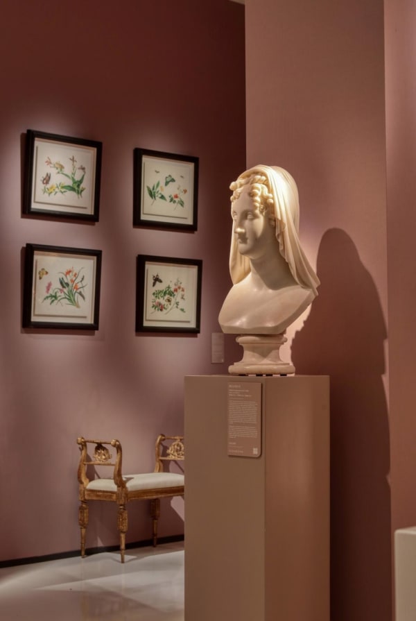 5190E01B 9F5E 4Ceb A6D4 01Fc75D27E02