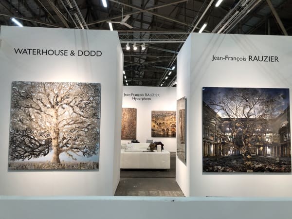 Art New York: A Solo Exhibition of works by JEAN-FRANÇOIS RAUZIER