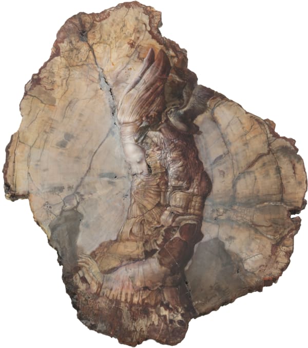 Agostino Arrivabene Persefone infera 2015 Oil on petrified fossil wood 35,5 × 31,5 cm