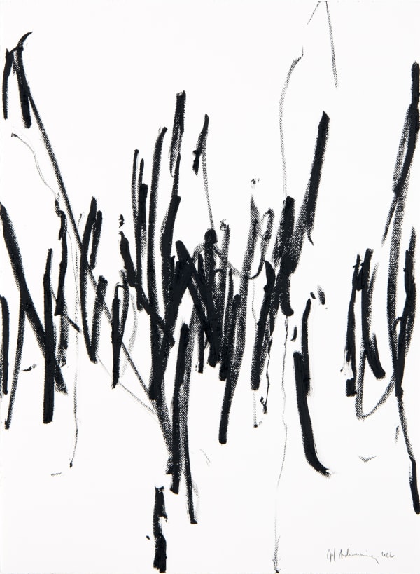 Joël Andrianomearisoa - Les prémices d’une mélancolie infinie