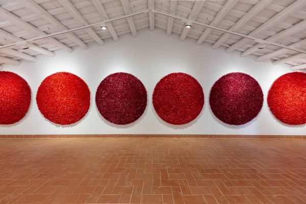 Josep le monde et moi, Josep the world and I, Josep el món i jo, Josep el mundo y yo