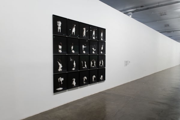 Exhibition view of Baptism, by Januário Jano, during the 35th Bienal de São Paulo – choreographies of the impossible ©...