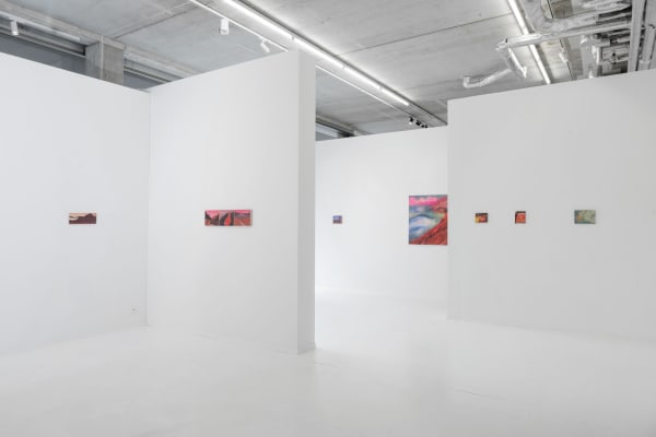 Heidrunrathgeb 0055 2250X