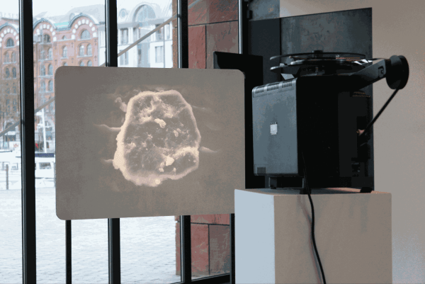 Schermafbeelding 2019 01 29 Om 14 35 06 2250X