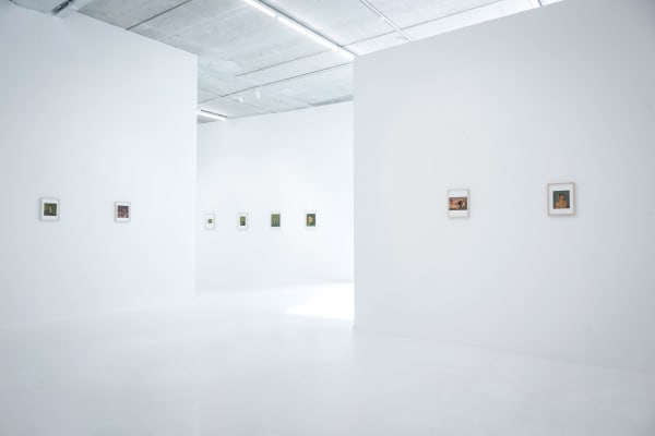 Felixdeclercq 0000 14