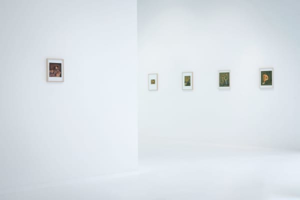 Felixdeclercq 0000 16