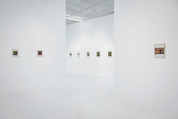 Felixdeclercq 0000 78