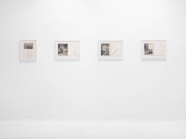 Willydesauter 0006 Edit