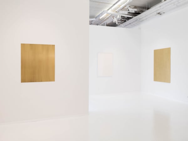 Willydesauter 0008 Edit