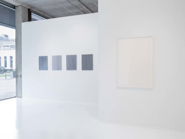 Willydesauter 0010 Edit