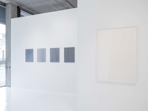 Willydesauter 0016 Edit