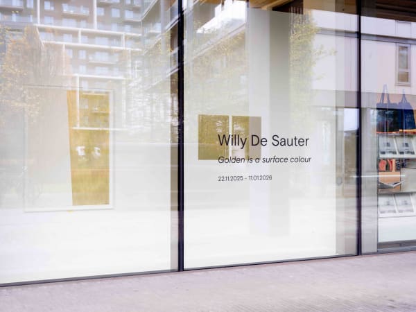 Willydesauter 100 Edit