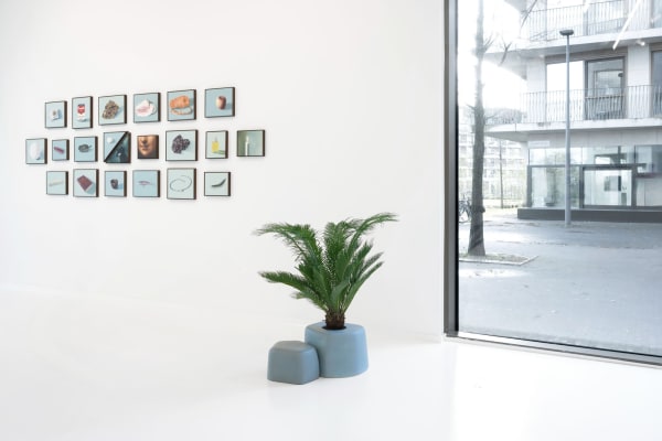 Sarahdevos 0010 2250X