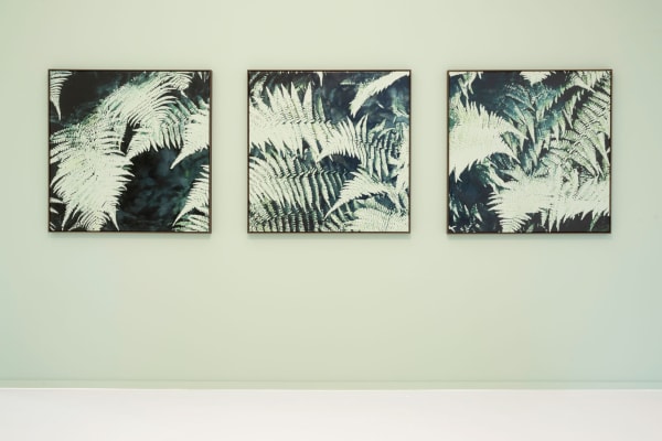 Sarahdevos 0013 2250X