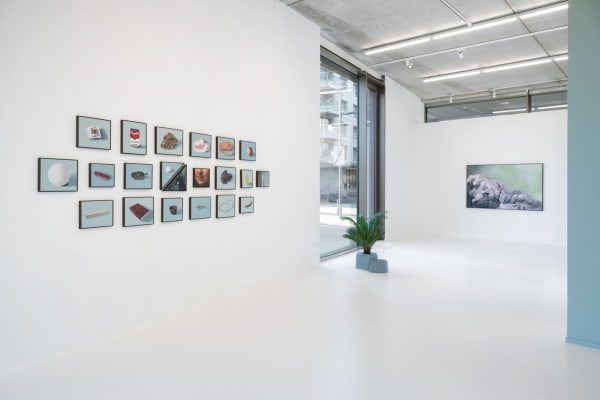 Sarahdevos 0055 2250X