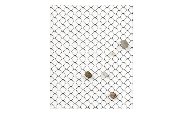 Sofie Website Beeld 2250X 1