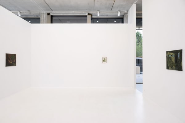 Felixdeclercq 5968 2250X