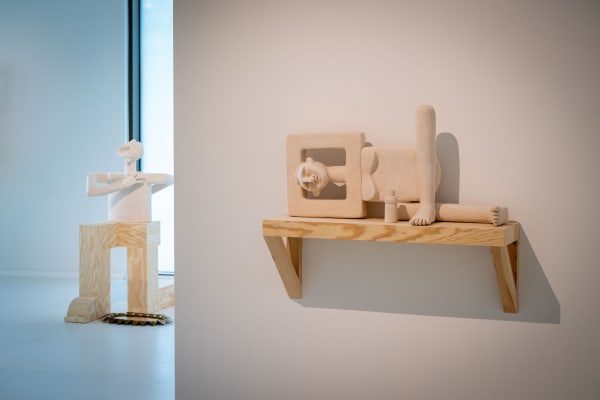 Dirkvansaene 142 2250X