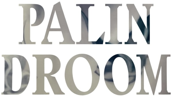 Palindroom Swallow 2250X