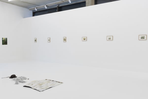 Felixdeclercq Gallerysofievandevelde 1 2250X