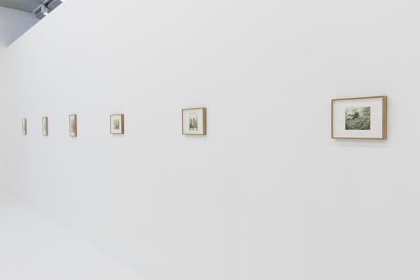 Felixdeclercq Gallerysofievandevelde 2 2250X