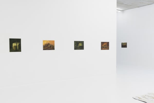 Felixdeclercq Gallerysofievandevelde 3 2250X