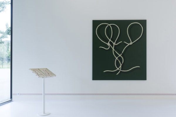 Charlinetyberghein Axelledegrave 7 2250X