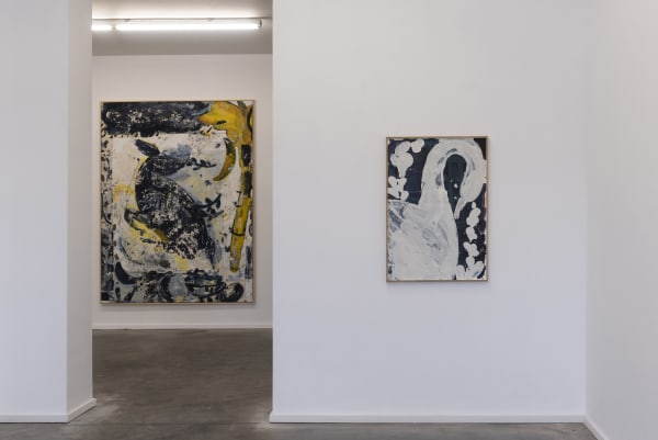 Gommaargilliams Axelledegrave 20 2250X