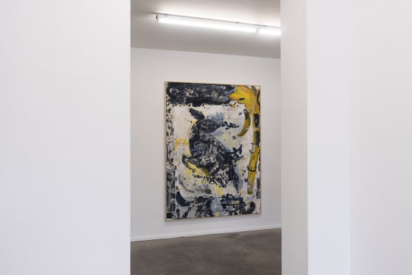 Gommaargilliams Axelledegrave 23 2250X