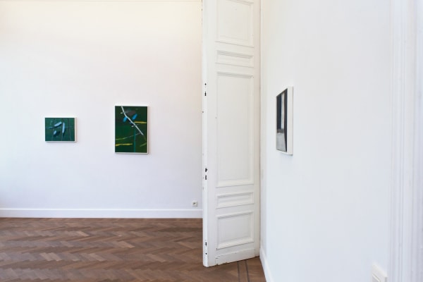 20190509 Svdv Expo 08 Lr 2250X