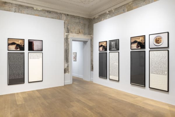 Galerist Amomentaryabsence 2023 Installationview Cur Elaatakan 7