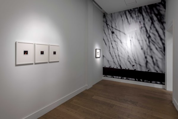 Galerist Sahinkaygun Oblique 2022 Ph Kayhankaygusuz 41