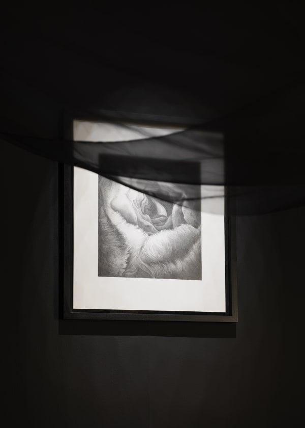 Galerist Burcu Yagcioglu Inside 2018 Installationview 4