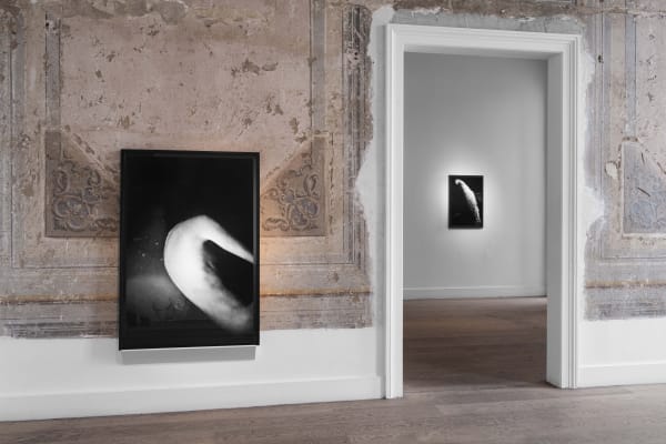 Yusuf Sevin Li Oculus 2017 2018 Installation View 3