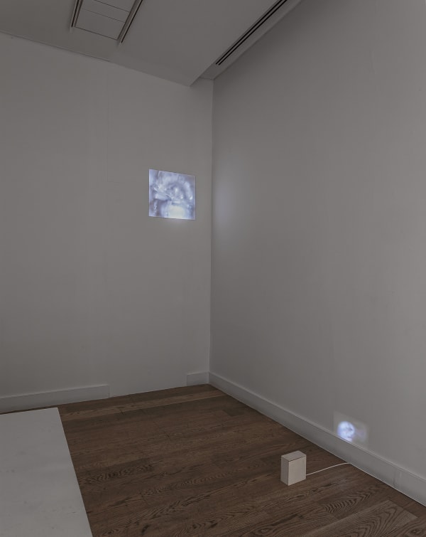 Galerist Burcu Yagcioglu 2016 Installation View 9