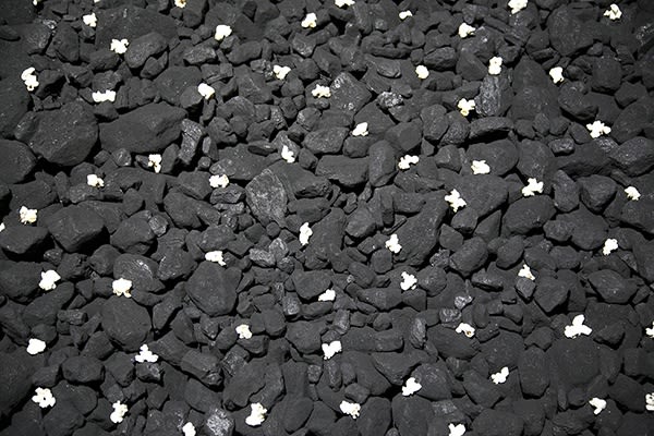 20150121 115846 1504736835