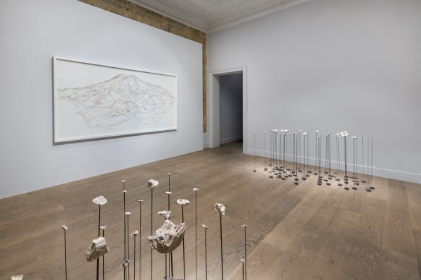 A Momentary Absence Burçak Bingöl, Gül Ilgaz, Sophie Calle, Ayça Telgeren