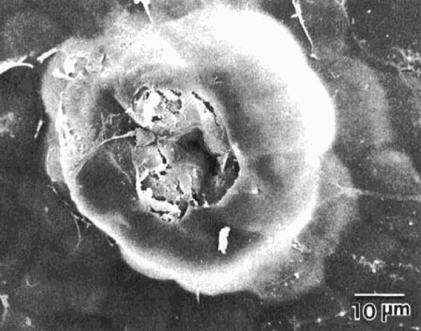 SUNUM PERFORMANSI | KAR VAR MI?, SAHA STUDIO, ISTANBUL