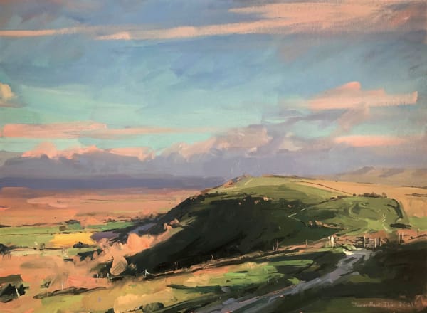 South Downs Way, pink on green, South Downs, 2021